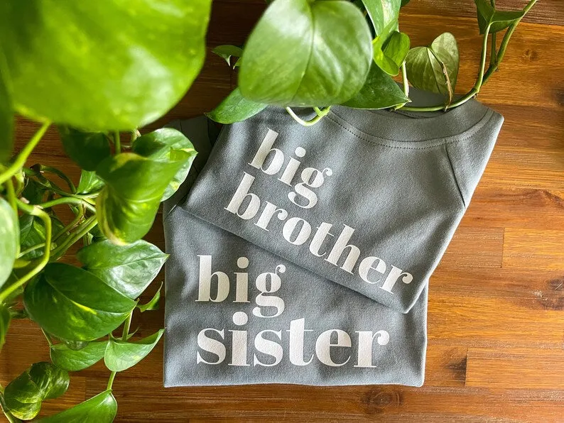 Big Sister Organic Pullover