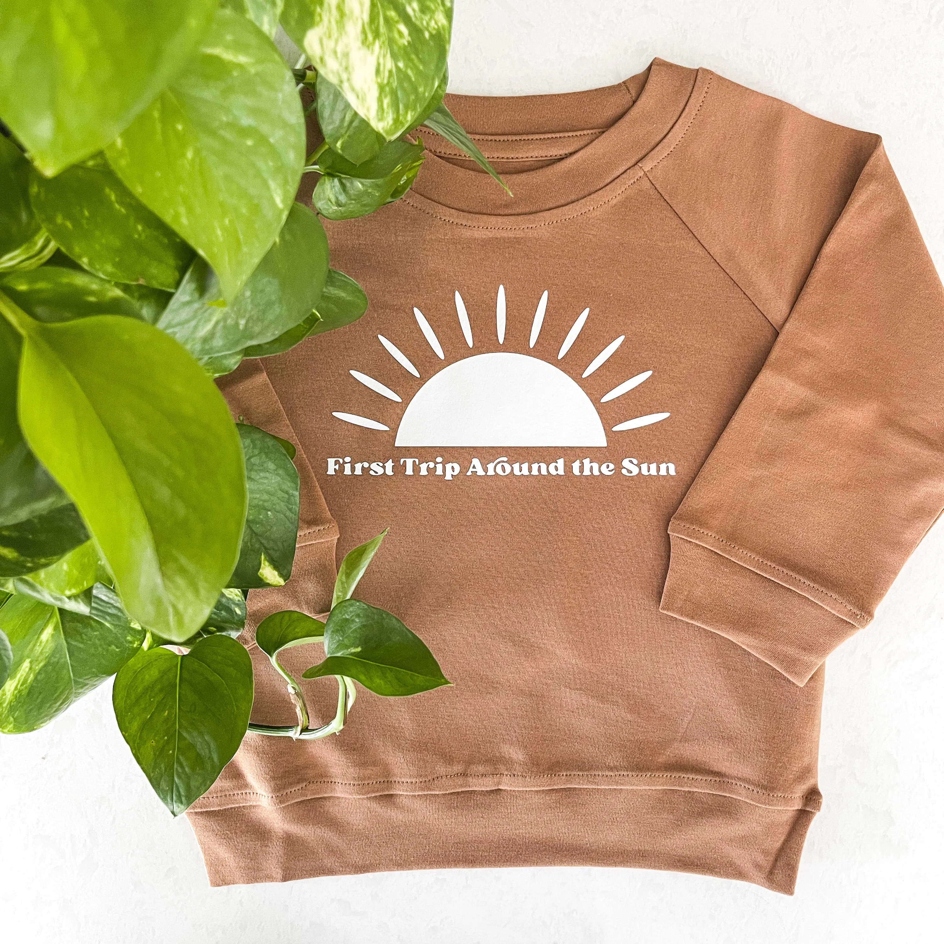 First Trip Around the Sun Organic Pullover