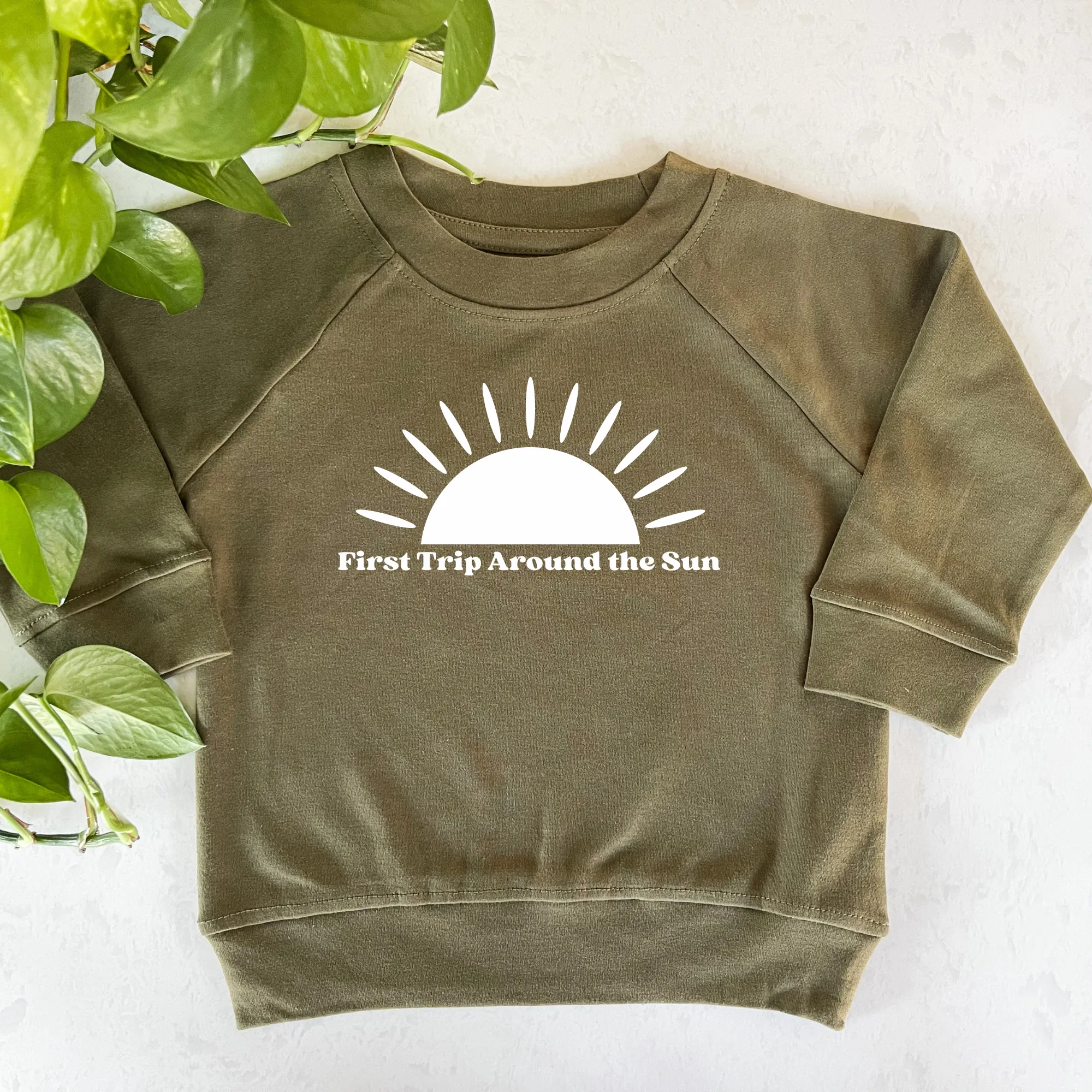 First Trip Around the Sun Organic Pullover
